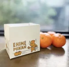 【新品・未使用】ヨシタケシンスケ展　愛媛　みかん箱かもしれない　限定　レア