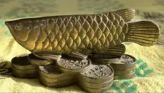 2026年最新】アロワナの人気アイテム - メルカリ