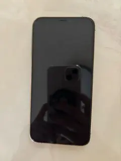 iPhone 12 pro ゴールド　256GB ジャンク品