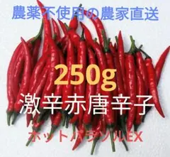 赤唐辛子 訳あり品300g生 - メルカリ