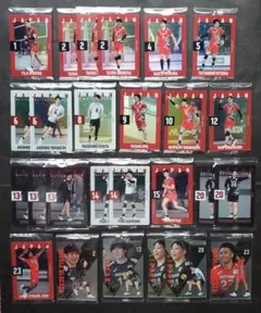 バレーボール　男子日本代表　2弾　ツインウエハース　カード26枚まとめ売り