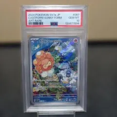 2025年最新】ポワルン ar psa10の人気アイテム - メルカリ