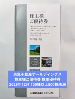 東急不動産ホールディングス 株主様ご優待券 2025年12月 100株