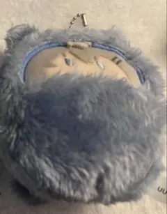 カラフルピーチ ヒロ くるみたぴぬい