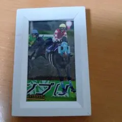 オジュウチョウサン 競馬 写真 フォトフレーム コレクション 殿堂馬 額縁付