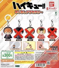 ハイキュー!! めじるしアクセサリー 2点セット