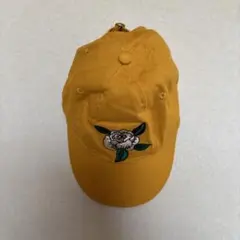 Item thumbnail for item ce2f82e2-55c4-4df0-8fe5-b9ac093c6bb8