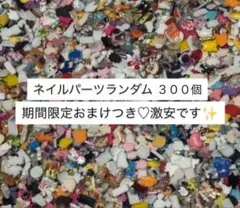 ネイルパーツランダム300個