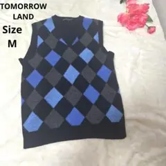【オシャレ☆TOMORROWLAND tricot】黒　青　アーガイルベスト　Mのサムネイル