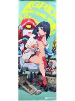 宝多六花 等身大タペストリー SSSS.GRIDMAN ヴィレッジヴァンガード SSSS.GRIDMAN×ヴィレッジヴァンガード 宝多六花 等身大タペストリー