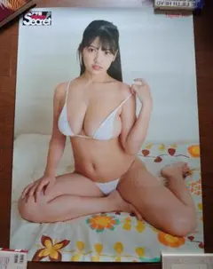 貴重】えなこ カレンダーブック特典 会場限定A2ポスター 【即日発送