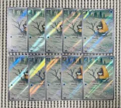 ユキワラシ　10枚　　メガドリームex