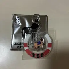 ウインカーネリアン　アクキー