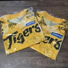 Item thumbnail for item 1fff62c1-b8a6-4af8-a7a6-77a476f4b3ad