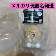 SKZOO ガチャ ライトマスコット パピーム スンミン