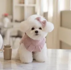 超美品　opaaap GLITTER FRILL KNIT（DUSTY PINK