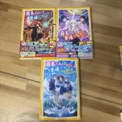 Item thumbnail for item 1b775f5c-31ba-4563-8dbe-e3ac9f14a622