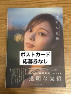 Item thumbnail for item 543bc992-1c7c-403e-bfd8-bfbfd9fbba63