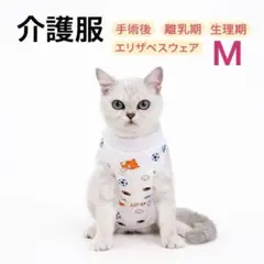 Item thumbnail for item df1643e5-726f-4d6a-90ab-d3be1dd0f3a0