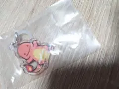 포켓몬 파이리 めじるしチャーム