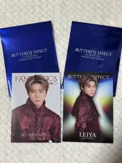 FANTASTICS 瀬口黎弥BUTTERFLY EFFECTフォトカードセット