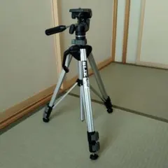 Item thumbnail for item 5991add4-4d4a-4ff5-8aef-fce7e5c14080