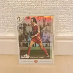 SEGA - wccf ベッケンバウアー フランツ・ベッケンバウアー | WCCF カードデータ詳細