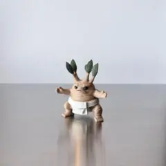 パキポディウム・グラキリス｜SUMO