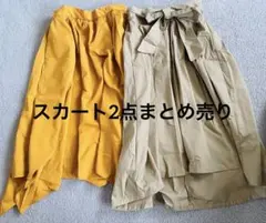 レディース❣️春夏スカート2点　 earth music&ecology他のサムネイル
