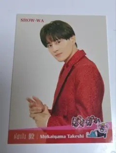 2026年最新】ぽかぽか show-waの人気アイテム - メルカリ
