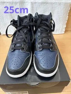 Nike Fragment Design ダンクハイ