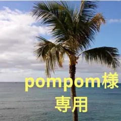 pompom様専用　ふき　ふき　3㎏　宅急便発送
