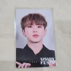 VISION FESTA SEVENTEEN ホシ トレカ 入場特典