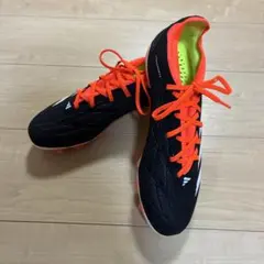 Item thumbnail for item 6f81c308-954d-4aab-804a-bb03f9947d3d