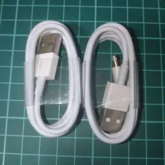 Item thumbnail for item 87c31186-d874-43e6-b245-f99305f00198