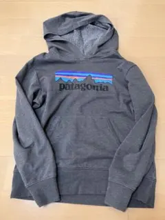 2026年最新】パタゴニア パーカー グレーの人気アイテム - メルカリ