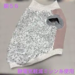 Item thumbnail for item 29e2cb47-8b60-4167-9b81-282d7facf244