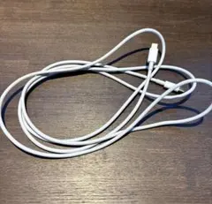 USB-C充電ケーブル（2m）MLL82AM/A (apple純正品)