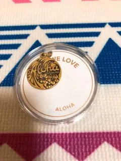 alex and ani ハワイ限定チャーム