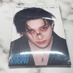 期間限定値下げ！スキズ　バンチャン　まとめ売り straykids スキズ バンチャン 11枚トレカまとめ売り - メルカリ