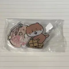 MINITEEN Icecream POPUP ディノ ヘアピンのサムネイル