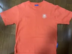 Item thumbnail for item f194da6f-43f1-4699-9355-52dd13641426