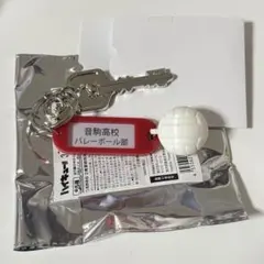 ハイキュー！ 音駒高校 トレーディング高校名付き鍵チャームキーホルダー