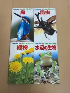 小学館の図鑑 NEO POCKET 4冊セット