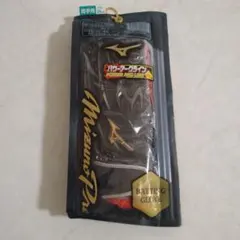 Mizuno　プロ　バッティンググローブ　２４cm