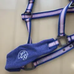 Item thumbnail for item d32d24b8-21ee-444d-a359-7cc7977dfa31