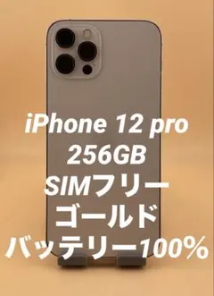 iPhone 12 pro 256GB SIMフリー　バッテリー100％