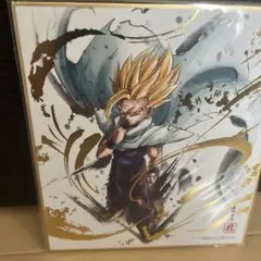 ドラゴンボール色紙ART