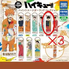 ハイキュー ペイントスーツガーランドコレクション 黒尾鉄朗 3点セット