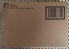 METAL ROBOT魂　ストライクフリーダム弐式(初音ミクVer.)